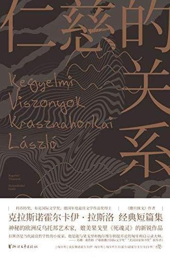 《仁慈的关系》拉斯洛/主题阴郁常常被归入后现代派小说