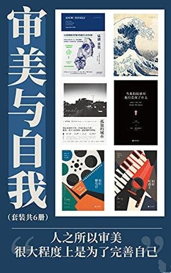 《审美与自我》套装六册/审美很大程度上是为了完善自己