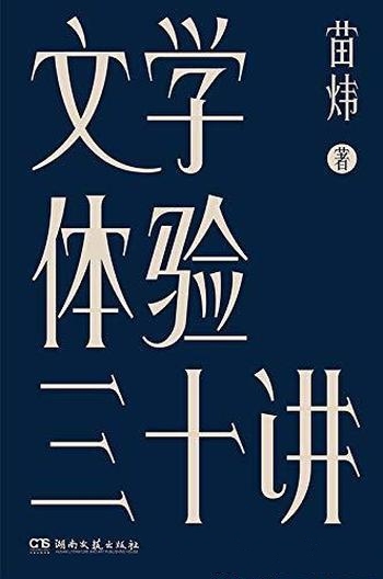 《文学体验三十讲》苗炜/一本书读懂数十部外国文学经典