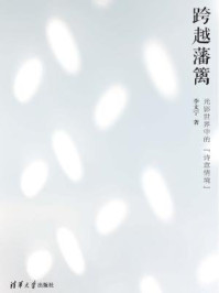 《跨越藩篱：光影世界中的“诗意情境”》-李文宁