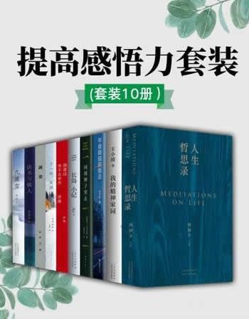 《提高感悟力套装》套装10册/停下来为感悟生活抛砖引玉