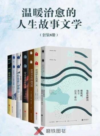 《温暖治愈的人生故事文学》套装8册/收录治愈作品共8本