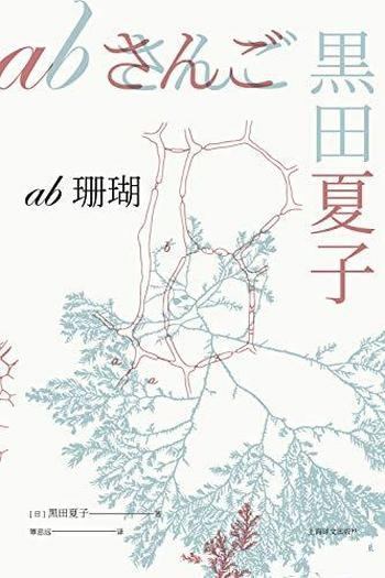 《ab珊瑚》黑田夏子/本书独特文体创造出的剔透幽深世界