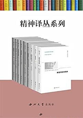 《精神译丛》套书九册/当代精神生活的反思重建与再生产