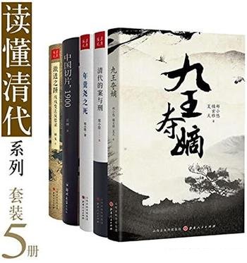 《读懂清代系列》套装5册/哪一条路 更适合内外交困大清