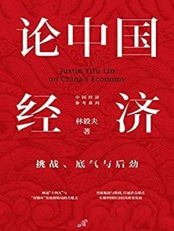 《论中国经济：挑战、底气与后劲》/中国自己理论和创新