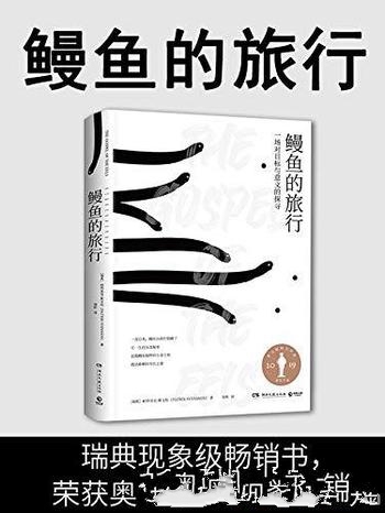 《鳗鱼的旅行》斯文松/引爆欧洲，和鳗鱼一样难以被定义