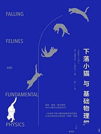 《下落小猫与基础物理学》格雷戈里·格布尔/物理学研究