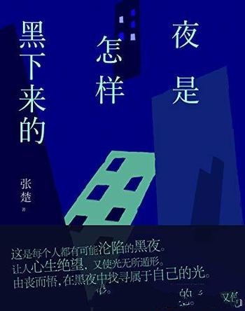 《夜是怎样黑下来的》张楚/记录小镇上的人们的心灵历史