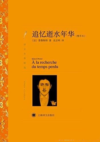 《追忆逝水年华》[译文名著精选]/马塞尔·普鲁斯特作品