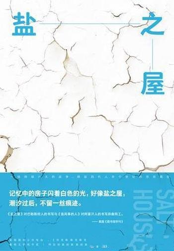 《盐之屋》哈拉·艾兰/获戴顿文学和平奖阿拉伯美图书奖