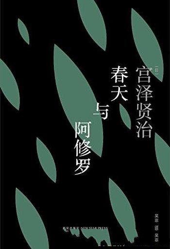 《春天与阿修罗》宫泽贤治/日本影响力大的诗人之一