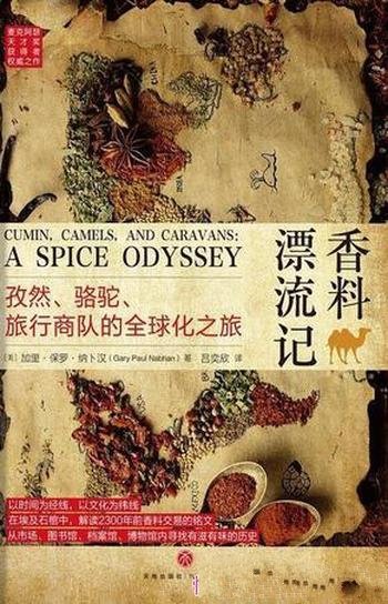 《香料漂流记》纳卜汉/解读2300年前香料交易的铭文