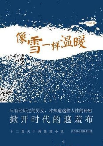 《像雪一样温暖》王大进/从容的笔墨揭示各种社会矛盾