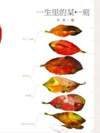 《一生里的某一刻》张春/2015年中国影响力图书