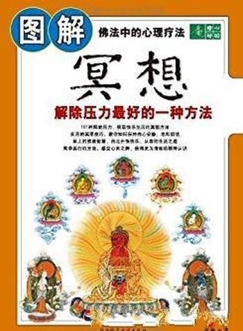 《图解冥想》蓝梅/解除压力最好的一种方法