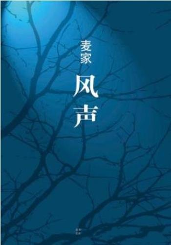 麦家《风声》第七届茅盾文学奖得主长篇力作