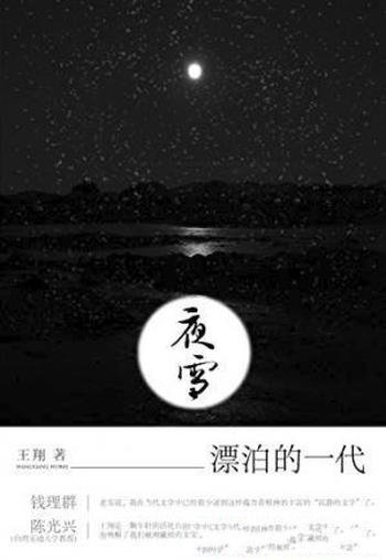 王翔《夜雪》精神流浪汉生活后的结晶