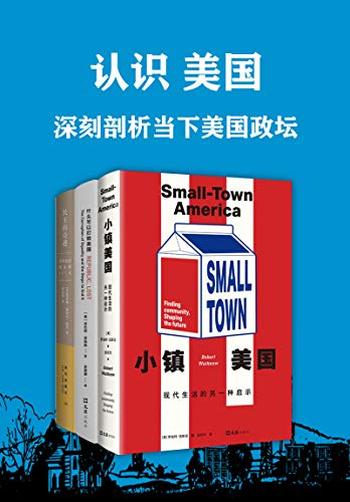 《认识美国：深刻剖析当下美国政坛》（套装共3册）- 罗伯特·伍斯诺 等