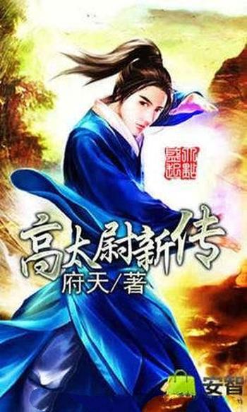 《高太尉新传》（校对版全本）作者：府天