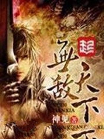 《无敌天下》（校对版全本）作者：神见