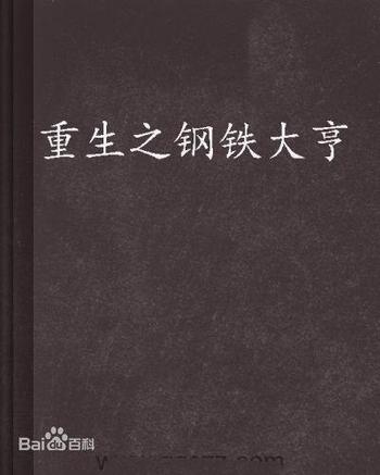 《重生之钢铁大亨(官场之风流人生)》（精校版全本）作者：更俗