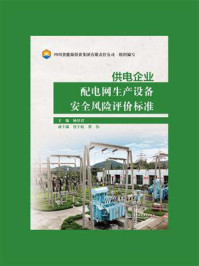 《供电企业配电网生产设备安全风险评价标准》-四川省能源投资集团有限责任公司