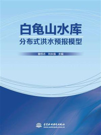 《白龟山水库分布式洪水预报模型》-魏恒志