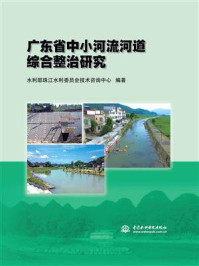 《广东省中小河流河道综合整治研究》-水利部珠江水利委员会技术咨询中心