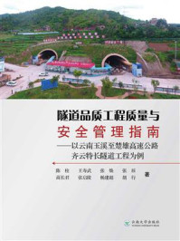 《隧道品质工程质量与安全管理指南：以云南玉溪至楚雄高速公路齐云特长隧道工程为例》-陈柱