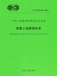 《智慧工地管理标准（T.CECS 651-2019）》-北京经济技术开发区建设发展局