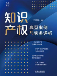 《知识产权典型案例与实务评析》-王现辉