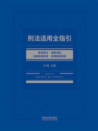 《刑法适用全指引：罪名要义、关联法规、立案追诉标准、定罪量刑标准》-孙强