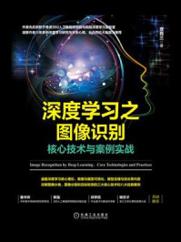 《深度学习之图像识别：核心技术与案例实战》-言有三