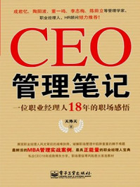 《CEO管理笔记：18年的职场感悟》-天外天