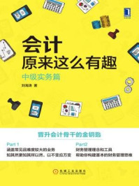 《会计原来这么有趣：中级实务篇》-刘海涛