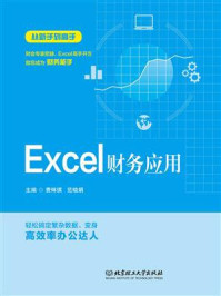 《Excel财务应用》-费琳琪