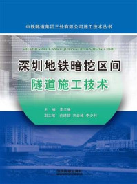 《深圳地铁暗挖区间隧道施工技术》-林瑜筠