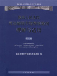 《最高人民法院司法解释与指导性案例理解与适用（第6卷）》-最新法律文件解读丛书选组