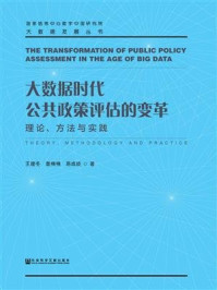 《大数据时代公共政策评估的变革：理论、方法与实践(大数据发展丛书)》-王建冬