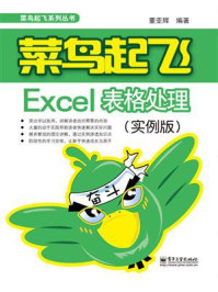 《菜鸟起飞Excel表格处理（实例版）（双色）》-董亚辉