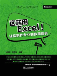 《这样用Excel！——轻松制作专业的数据图表（第2版）》-刘丽华