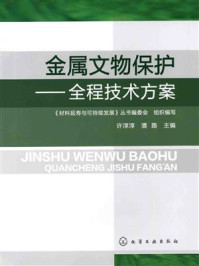 《金属文物保护：全程技术方案》-许淳淳