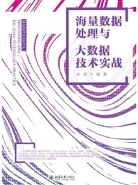 《海量数据处理与大数据技术实战》-冰河