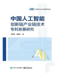 《中国人工智能创新链产业链技术专利发展研究》-李慧颖