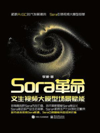 《Sora革命：文生视频大模型场景赋能》-李波