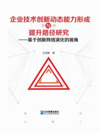 《企业技术创新动态能力形成与提升路径研究：基于创新网络演化的视角》-王昌林