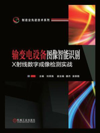 《输变电设备图像智能识别：X射线数字成像检测实战》-刘荣海