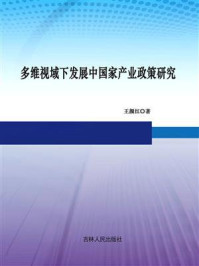 《多维视域下发展中国家产业政策研究》-王颜红