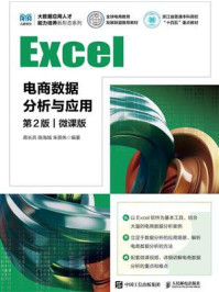 《Excel电商数据分析与应用（第2版 微课版）》-蒋长兵